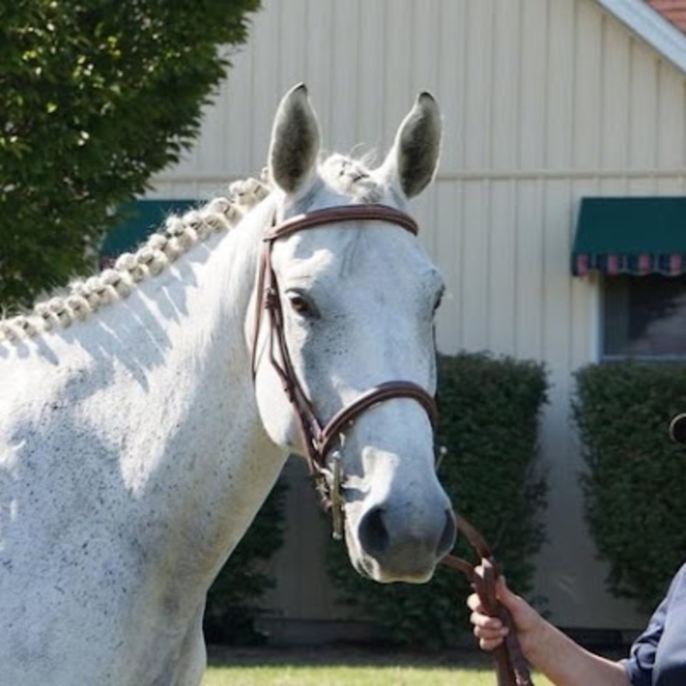 Meet your Posher, Naomi